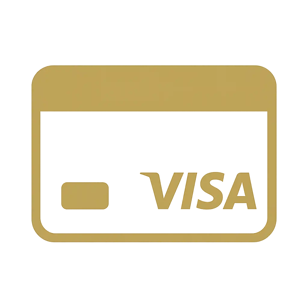 Visa payment icon